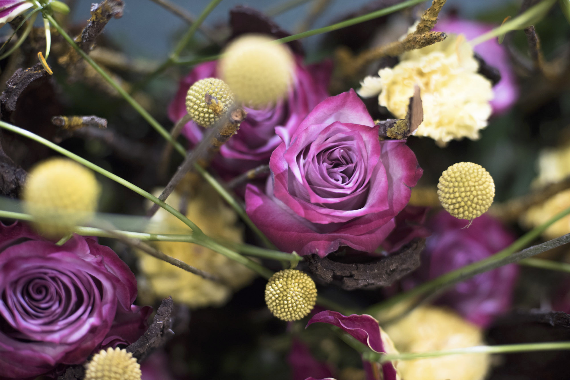 Poland’s floral design champion Tomàsz Max Kuczyński Joined us on 'Rose