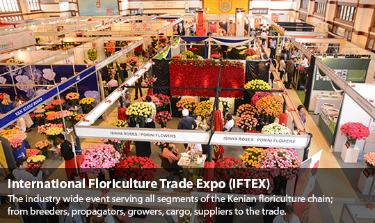 iftex