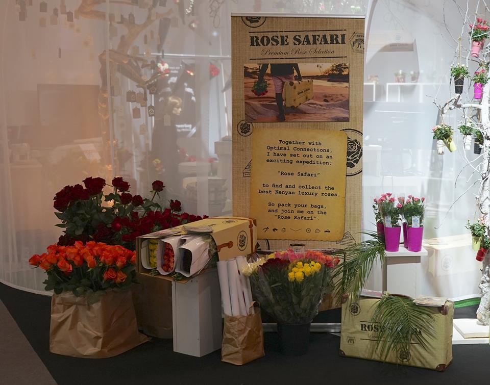 Rose Safari Premium rose Selection at Floradecora 2017