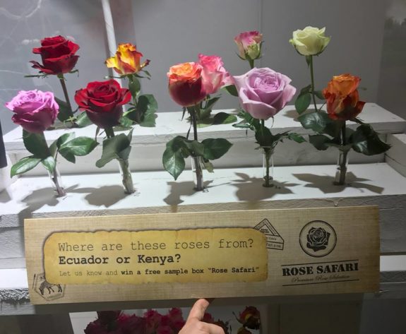 Rose safari