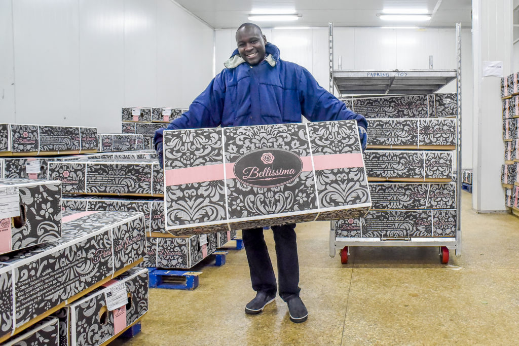 Bellissima roses packed in boxes