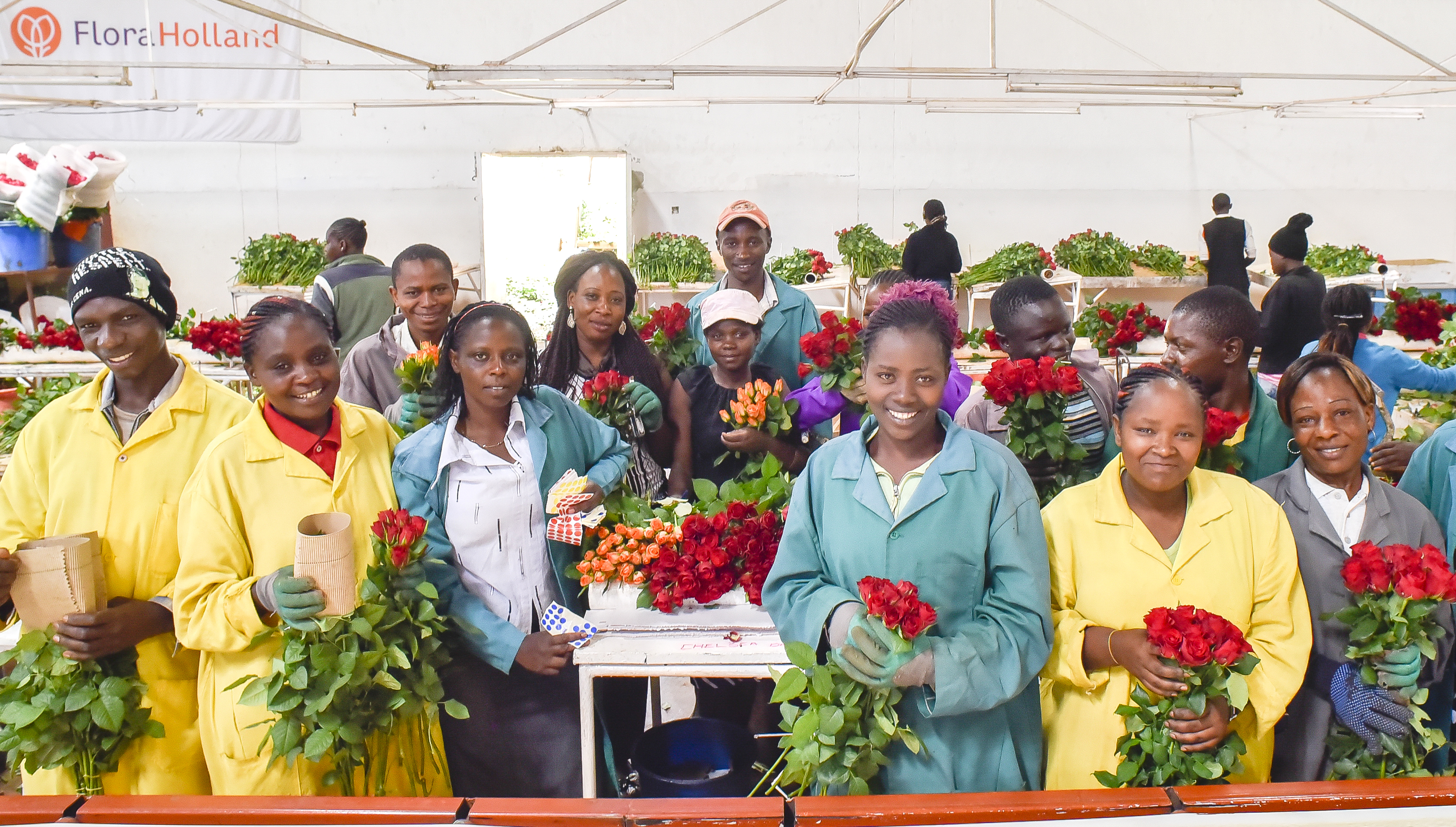 The Flourishing Everflora Rose Flower Farm