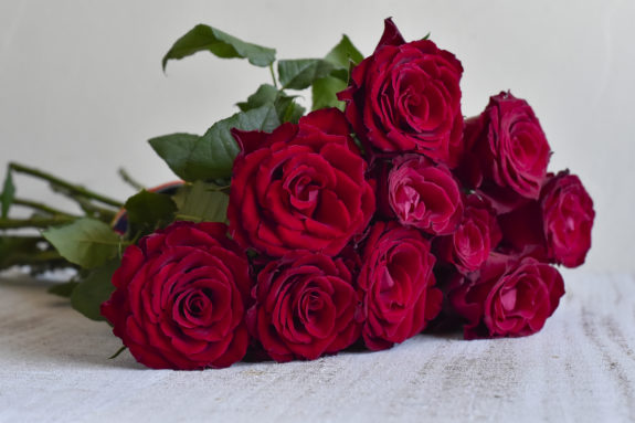 Everflora Kenyan Roses-4187