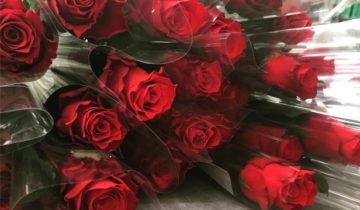 rhodos flowerweb bigfive de ruiter