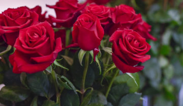 F. Optimal Connection at IFTEX 2018-1060